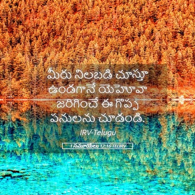 Picture 05 - 1 సమూయేలు 12:16 TELIRV - మీరు నిలబడి - Bible Verse Picture