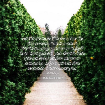 Picture 05 - 1 సమూయేలు 12:17 TELIRV - ఇది గోదుమ పంట కోసే - Bible Verse Picture