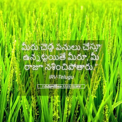 Picture 05 - 1 సమూయేలు 12:25 TELIRV - మీరు చెడ్డ పనులు - Bible Verse Picture
