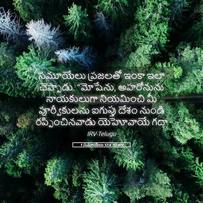 Picture 05 - 1 సమూయేలు 12:6 TELIRV - సమూయేలు ప్రజలతో - Bible Verse Picture