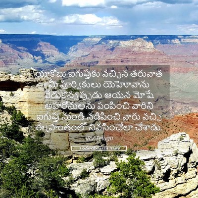 Picture 05 - 1 సమూయేలు 12:8 TELIRV - యాకోబు ఐగుప్తుకు - Bible Verse Picture