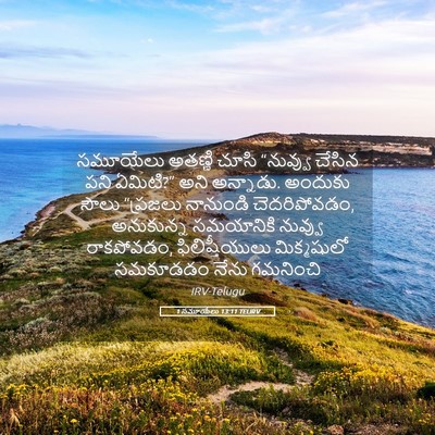 Picture 05 - 1 సమూయేలు 13:11 TELIRV - సమూయేలు అతణ్ణి - Bible Verse Picture