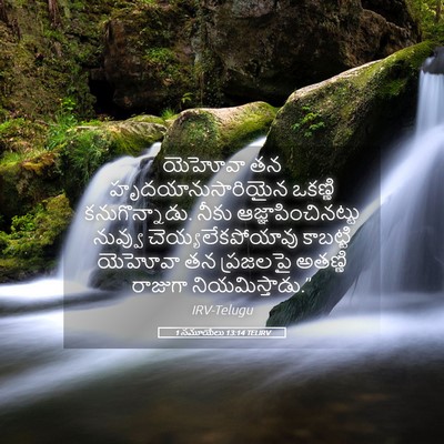 Picture 05 - 1 సమూయేలు 13:14 TELIRV - యెహోవా తన - Bible Verse Picture