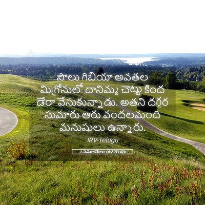 Picture 05 - 1 సమూయేలు 14:2 TELIRV - సౌలు గిబియా అవతల - Bible Verse Picture