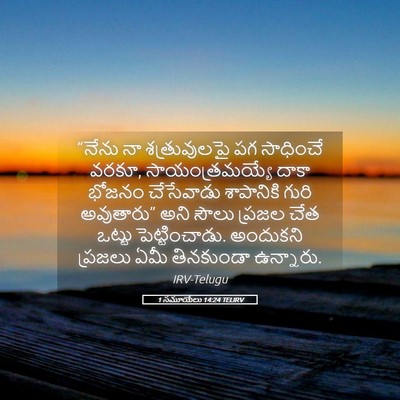 Picture 05 - 1 సమూయేలు 14:24 TELIRV - “నేను నా - Bible Verse Picture