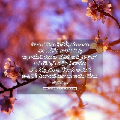 Picture 05 - 1 సమూయేలు 14:37 TELIRV - సౌలు “నేను - Bible Verse Picture