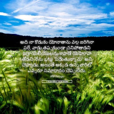 Picture 05 - 1 సమూయేలు 14:39 TELIRV - అది నా కొడుకు - Bible Verse Picture