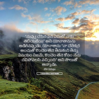 Picture 05 - 1 సమూయేలు 14:43 TELIRV - “నువ్వు చేసిన పని - Bible Verse Picture