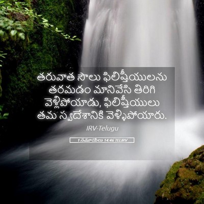 Picture 05 - 1 సమూయేలు 14:46 TELIRV - తరువాత సౌలు - Bible Verse Picture