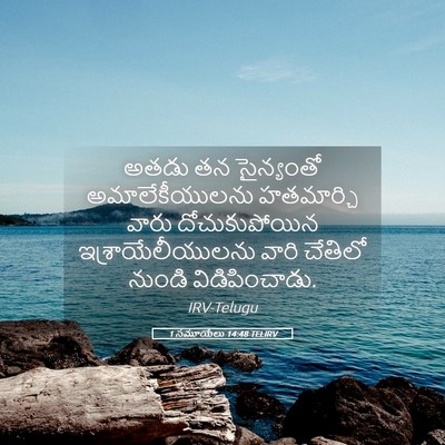 Picture 05 - 1 సమూయేలు 14:48 TELIRV - అతడు తన సైన్యంతో - Bible Verse Picture