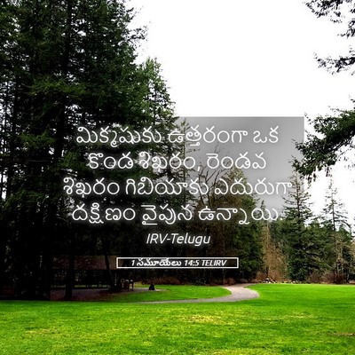 Picture 05 - 1 సమూయేలు 14:5 TELIRV - మిక్మషుకు - Bible Verse Picture