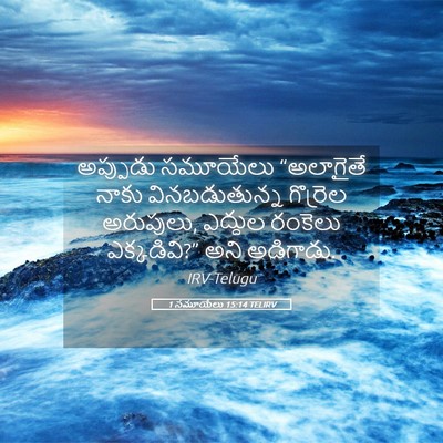 Picture 05 - 1 సమూయేలు 15:14 TELIRV - అప్పుడు సమూయేలు - Bible Verse Picture