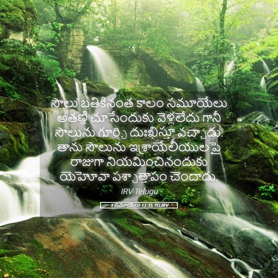 Picture 05 - 1 సమూయేలు 15:35 TELIRV - సౌలు బతికినంత - Bible Verse Picture