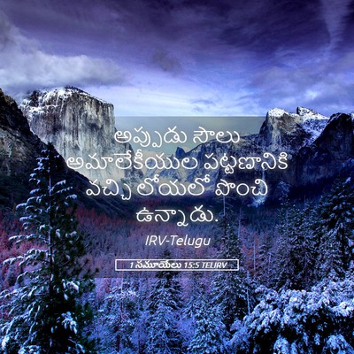 Picture 05 - 1 సమూయేలు 15:5 TELIRV - అప్పుడు సౌలు - Bible Verse Picture
