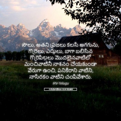 Picture 05 - 1 సమూయేలు 15:9 TELIRV - సౌలు, అతని ప్రజలు - Bible Verse Picture