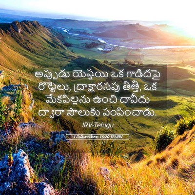 Picture 05 - 1 సమూయేలు 16:20 TELIRV - అప్పుడు యెష్షయి - Bible Verse Picture