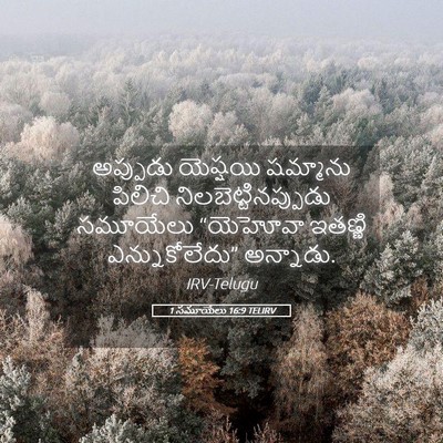 Picture 05 - 1 సమూయేలు 16:9 TELIRV - అప్పుడు యెష్షయి - Bible Verse Picture