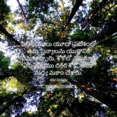 Picture 05 - 1 సమూయేలు 17:1 TELIRV - ఫిలిష్తీయులు యూదా - Bible Verse Picture