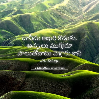 Picture 05 - 1 సమూయేలు 17:14 TELIRV - దావీదు ఆఖరి - Bible Verse Picture