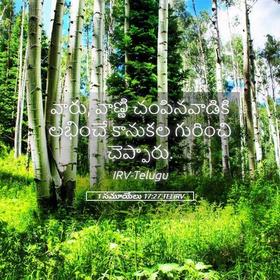 Picture 05 - 1 సమూయేలు 17:27 TELIRV - వారు, వాణ్ణి - Bible Verse Picture