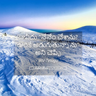 Picture 05 - 1 సమూయేలు 17:29 TELIRV - దావీదు “నేనేం - Bible Verse Picture