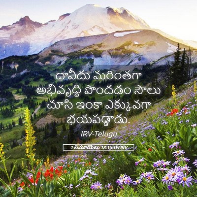 Picture 05 - 1 సమూయేలు 18:15 TELIRV - దావీదు మరింతగా - Bible Verse Picture