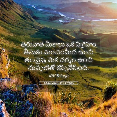 Picture 05 - 1 సమూయేలు 19:13 TELIRV - తరువాత మీకాలు ఒక - Bible Verse Picture