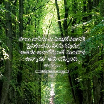 Picture 05 - 1 సమూయేలు 19:14 TELIRV - సౌలు దావీదును - Bible Verse Picture