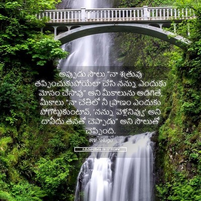 Picture 05 - 1 సమూయేలు 19:17 TELIRV - అప్పుడు సౌలు “నా - Bible Verse Picture