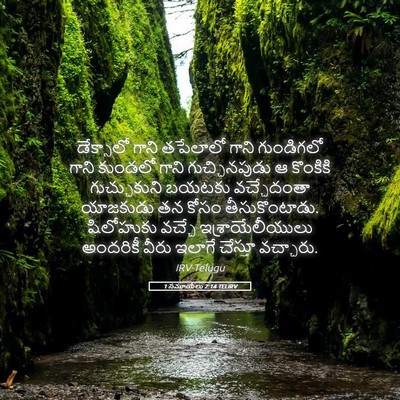 Picture 05 - 1 సమూయేలు 2:14 TELIRV - డేక్సాలో గాని - Bible Verse Picture