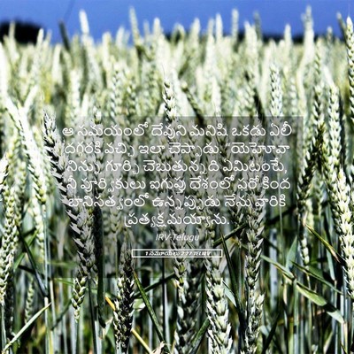 Picture 05 - 1 సమూయేలు 2:27 TELIRV - ఆ సమయంలో దేవుని - Bible Verse Picture