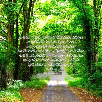Picture 05 - 1 సమూయేలు 2:28 TELIRV - అతడు నా - Bible Verse Picture