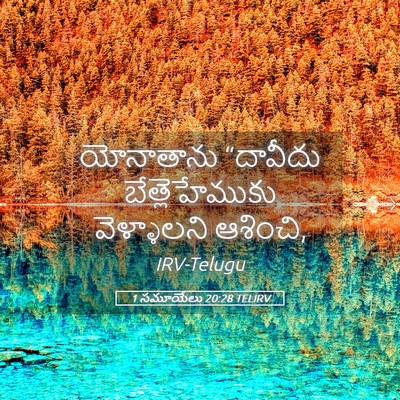 Picture 05 - 1 సమూయేలు 20:28 TELIRV - యోనాతాను “దావీదు - Bible Verse Picture