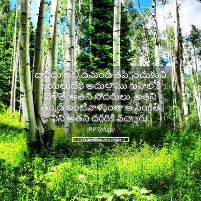Picture 05 - 1 సమూయేలు 22:1 TELIRV - దావీదు అక్కడనుండి - Bible Verse Picture