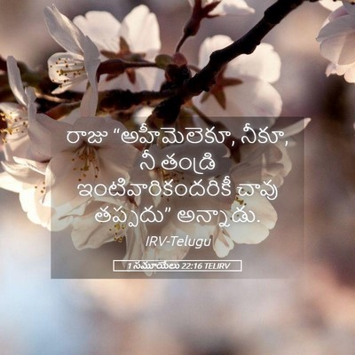 Picture 05 - 1 సమూయేలు 22:16 TELIRV - రాజు “అహీమెలెకూ, - Bible Verse Picture