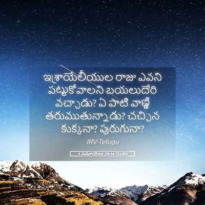 Picture 05 - 1 సమూయేలు 24:14 TELIRV - ఇశ్రాయేలీయుల రాజు - Bible Verse Picture