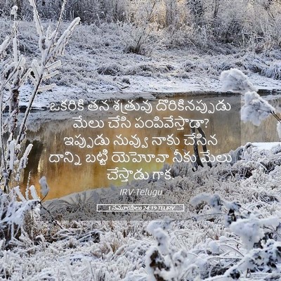 Picture 05 - 1 సమూయేలు 24:19 TELIRV - ఒకరికి తన శత్రువు - Bible Verse Picture