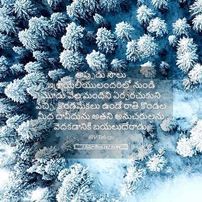 Picture 05 - 1 సమూయేలు 24:2 TELIRV - అప్పుడు సౌలు - Bible Verse Picture