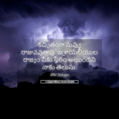 Picture 05 - 1 సమూయేలు 24:20 TELIRV - కచ్చితంగా నువ్వు - Bible Verse Picture