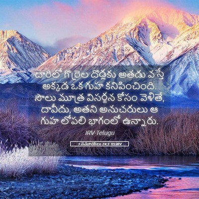Picture 05 - 1 సమూయేలు 24:3 TELIRV - దారిలో గొర్రెల - Bible Verse Picture