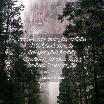 Picture 05 - 1 సమూయేలు 24:9 TELIRV - సౌలుతో ఇలా - Bible Verse Picture