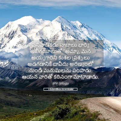 Picture 05 - 1 సమూయేలు 25:14 TELIRV - పనివాడొకడు నాబాలు - Bible Verse Picture