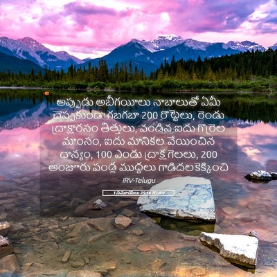Picture 05 - 1 సమూయేలు 25:18 TELIRV - అప్పుడు అబీగయీలు - Bible Verse Picture