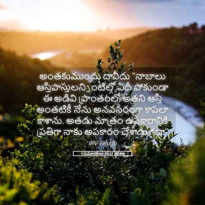 Picture 05 - 1 సమూయేలు 25:21 TELIRV - అంతకుముందు దావీదు - Bible Verse Picture