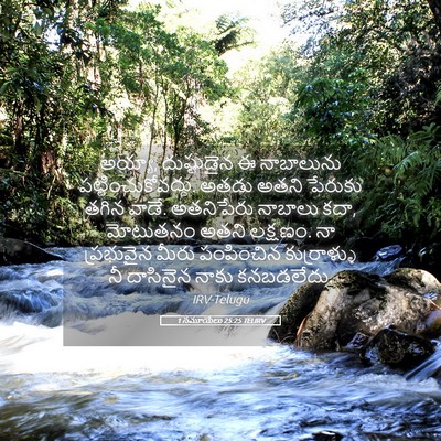 Picture 05 - 1 సమూయేలు 25:25 TELIRV - అయ్యా, దుష్టుడైన ఈ - Bible Verse Picture