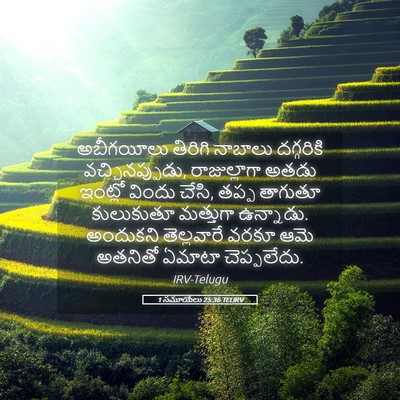 Picture 05 - 1 సమూయేలు 25:36 TELIRV - అబీగయీలు తిరిగి - Bible Verse Picture