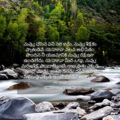 Picture 05 - 1 సమూయేలు 26:16 TELIRV - నువ్వు చేసిన పని - Bible Verse Picture