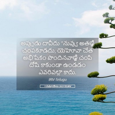 Picture 05 - 1 సమూయేలు 26:9 TELIRV - అప్పుడు దావీదు - Bible Verse Picture
