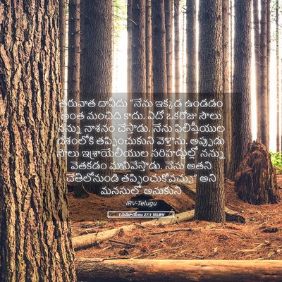 Picture 05 - 1 సమూయేలు 27:1 TELIRV - తరువాత దావీదు - Bible Verse Picture