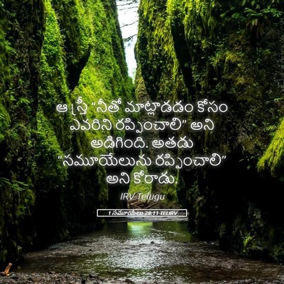 Picture 05 - 1 సమూయేలు 28:11 TELIRV - ఆ స్త్రీ “నీతో - Bible Verse Picture